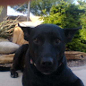 Meet your Posher, Jessee